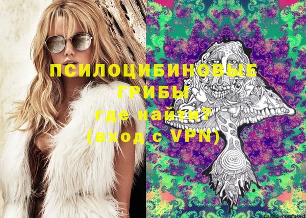 кокаин Каменка