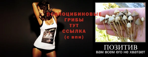 кокаин Каменка