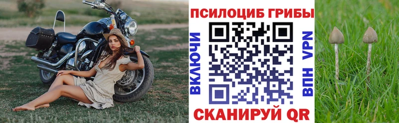 Псилоцибиновые грибы GOLDEN TEACHER  Купить закладки  Ртищево 
